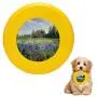 Pet Frisbee Flying Disc Dog Toy - Multifunction Evening at The Iris Field Timothy Easton