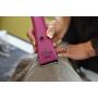 Wahl Professional Animal Bravura Pet, Dog, Cat, and Horse Corded/Cordless Clipper Kit