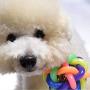 Ychaoya Fun Colorful Weave Style Bell Ball Pet Toy, Size: M (7.57.57.5cm)