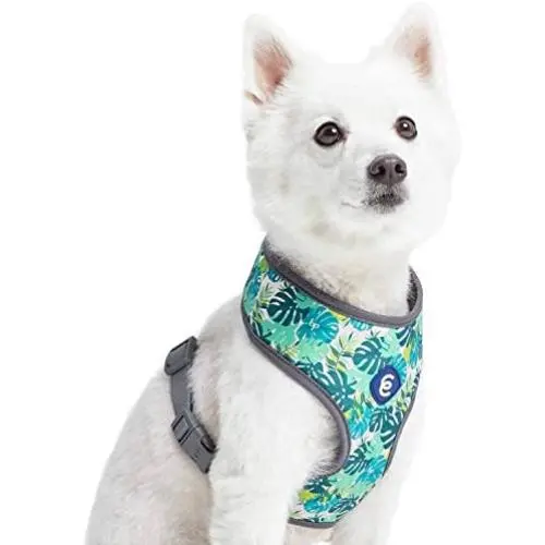 Blueberry Pet Essentials 2021 New 3 Patterns Camo Print/Bahamas Vacation Dog Harness Vests Blueberry Pet Essentials 2021 New 3 Patterns Camo Print/Bahamas Vacation Dog Harness Vests