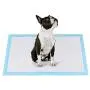 FancyWhoop Puppy Training Pads for Dog Pet Pee Absorbent Toilet Pee Wee Mat Anti Slip Leakproof for S (100 Pack 12.99 x 17.71 inch)