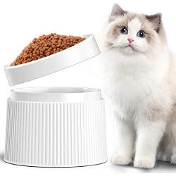 iPettie Elevated and Tilted Cat Food Bowl Cat Dish, Pet Feeding Station with Stand for Small Dog, Better Than Stainless Steel and Ceramic, Made from Certified Food-Safe Plastics, Non-Slip & No Spill