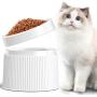 iPettie Elevated and Tilted Cat Food Bowl Cat Dish, Pet Feeding Station with Stand for Small Dog, Better Than Stainless Steel and Ceramic, Made from Certified Food-Safe Plastics, Non-Slip & No Spill