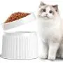 iPettie Elevated and Tilted Cat Food Bowl Cat Dish, Pet Feeding Station with Stand for Small Dog, Better Than Stainless Steel and Ceramic, Made from Certified Food-Safe Plastics, Non-Slip & No Spill
