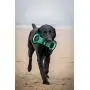 NFL Football Field DOG TOY with Squeaker. - SEATTLE SEAHAWKS - For Tug, Toss, and Fetch. - Tough & Durable PET TOY NFL Football Field DOG TOY with Squeaker. - SEATTLE SEAHAWKS - For Tug, Toss, and Fetch. - Tough & Durable PET TOY