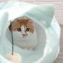 Large Comfortable Cat Tunnel with Scratching Ball and Cushion, Collapsible Play Toy Tube Fun for Kittens and Cats