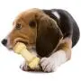 Nylabone Power Chew Rawhide Knot Chew Bone Nylabone Power Chew Rawhide Knot Chew Bone