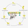 BHSHOP Cat Tracks Cat Toy Pet Interactive Toy Cat Scratching Tickle Toy with Catnip Glowing Balls
