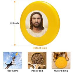 Pet Frisbee Flying Disc Dog Toy - Multifunction Light of The World Brent Borup