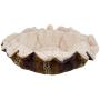 BESSIE AND BARNIE Ultra Plush Wild Kingdom/Natural Beauty Luxury Deluxe Dog/Pet Cuddle Pod Bed