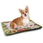 DayDayFun Kids Christmas Pet Mat for Kennel Cute Teddy Bear on Evergreen Branches with Stars Bowties Surprise Boxes Housebreaking Absorption Pads Green Gold Red