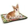 DayDayFun Kids Christmas Pet Mat for Kennel Cute Teddy Bear on Evergreen Branches with Stars Bowties Surprise Boxes Housebreaking Absorption Pads Green Gold Red DayDayFun Kids Christmas Pet Mat for Kennel Cute Teddy Bear on Evergreen Branches with Stars Bowties Surprise Boxes Housebreaking Absorption Pads Green Gold Red