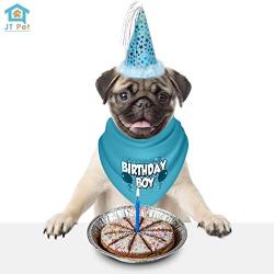 JT PET Dog Birthday Boy Party Pack with Bandana, Star Spangled Party Hat with Adjustable Elastic, Tassels and Feathery Trim, and Vegan Birthday Pie
