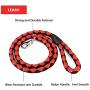 Dog Leash and Harness Set - Durable Dog Leash & Adjustable Cozy Dog Harness for Easy Control Small, Medium Dogs - Stops Dog from Pulling and Choking on Walks