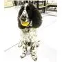 SodaPup Industrial Dog Chew Ball - Tough Dog Toys - Durable Dog Toys - Chew Toy - Busy Ball for Dogs - Dog Ball - Treat Ball for Dogs SodaPup Industrial Dog Chew Ball - Tough Dog Toys - Durable Dog Toys - Chew Toy - Busy Ball for Dogs - Dog Ball - Treat Ball for Dogs