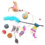 Greyghost 10 Pcs/lot Funny Tease Cat Toys Set Variety Pack, Including Catnip Pack, Ball, Mice