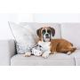 Fattiez Round Squeaky Plush Toy by Outward Hound