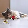 BINGPET Interactive Cat Toys for Indoor Cats - 4 Pack Butterfly, Bee, Beetle for Cat Wand Replacement, Soft Plush Cat Toy with Crinkle Paper, Dragonfly Realistic Insect for Cat Playing or Pole Refill BINGPET Interactive Cat Toys for Indoor Cats - 4 Pack Butterfly, Bee, Beetle for Cat Wand Replacement, Soft Plush Cat Toy with Crinkle Paper, Dragonfly Realistic Insect for Cat Playing or Pole Refill