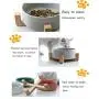 ZYYRT Ceramic Raised Dog Bowl Basic Cat Food Bowl Water Dish with Anti-Slip Wooden Stand for Dogs and Cats, Dishwasher Safe ZYYRT Ceramic Raised Dog Bowl Basic Cat Food Bowl Water Dish with Anti-Slip Wooden Stand for Dogs and Cats, Dishwasher Safe