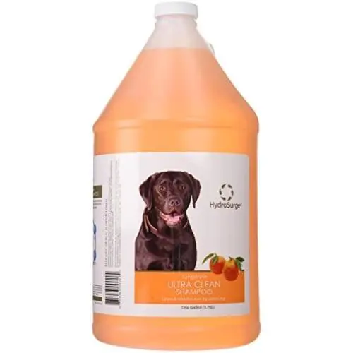 Oster Hydrosurge Tangerine Clean Shampoo Oster Hydrosurge Tangerine Clean Shampoo