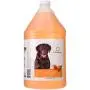 Oster Hydrosurge Tangerine Clean Shampoo Oster Hydrosurge Tangerine Clean Shampoo