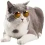 S-D-A Pet Cat Glasses Dog Glasses Pet Products for Little Dog Cat Eye Wear Dog Sunglasses Photos Props Accessories Pet Supplies Toy,Red S-D-A Pet Cat Glasses Dog Glasses Pet Products for Little Dog Cat Eye Wear Dog Sunglasses Photos Props Accessories Pet Supplies Toy,Red