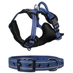 Tuff Pupper Small (13-17’) Heavy Duty Dog Collar with Handle and Medium Midnight Blue Metro - No Pull Dog Harness Bundle