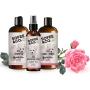 Sofee & Co. Natural Dog Puppy Shampoo - Clean Moisturize Deodorize Detangle Soothe Soften Normal Dry Itchy Flaky Allergy Sensitive Skin. Prevent Mattes. 16 oz