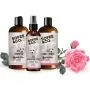 Sofee & Co. Natural Dog Puppy Shampoo - Clean Moisturize Deodorize Detangle Soothe Soften Normal Dry Itchy Flaky Allergy Sensitive Skin. Prevent Mattes. 16 oz