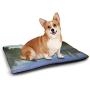 DayDayFun Landscape Pet Mats for Dogs Frozen Winter Lake River in Woods Trees Under The Snow Nature Forest Artful Rectangle Mat for Dogs and Cats White Green