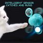 Equimedicos 2020 Newest Windmill Cat Toy - Cat Toy with LED and Catnip Ball, Cat Turntable Teasing Interactive Toy with a Suction Cup Base, Can be Cleaned, Rotary Massage Tickle Anti-bite