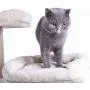 Hey-bro 61.5'' Extra Large Multi-Level Cat Tree Condo Furniture with Sisal-Covered Scratching Posts, 2 Bigger Plush Condos, Perch Hammock for Kittens, Cats and Pets Hey-bro 61.5'' Extra Large Multi-Level Cat Tree Condo Furniture with Sisal-Covered Scratching Posts, 2 Bigger Plush Condos, Perch Hammock for Kittens, Cats and Pets