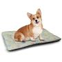 DayDayFun Night Cute Pet Mat Misty Nature Scene of Autumn Forest in Thuringia Germany Tranquil Woodland Easy-to-Clean Pet Mat Blue Green White