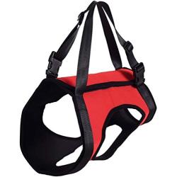 Dog Lift Harness Support Harness Support & Recovery Sling, Pet Rehabilitation Lifts Vest Adjustable Breathable Straps for Old, Disabled, Joint Injuries, Arthritis, Paralysis Dogs Walk, Rear Leg L