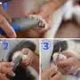Sdefw Cat Dog Nail Clippers and Trimmer, Pet Nail File with Sharp Blade and Safety Guard, Professional Grooming Tools for Small Animals Claw Care