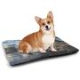 DayDayFun Irish Patterned Pet Pad Cute Trifolium on Vertical Wavy Stripes with Dots Good Luck Fortune Symbol Waterproof and Machine Washable Lime Green White