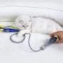 Dudi Manual Fish Cat Toy, Funny Interactive Pets Pillow Chew Bite Kick Supplies for Cat Kitten Kitty