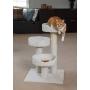 IRIS Cat Tree Condo
