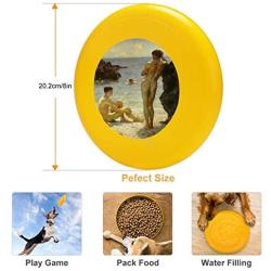 Pet Frisbee Flying Disc Dog Toy - Multifunction Lovers of The Sun Henry Scott Tuke
