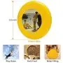 Pet Frisbee Flying Disc Dog Toy - Multifunction Lovers of The Sun Henry Scott Tuke