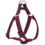 LupinePet Eco 3/4'' Berry for Small to Large Dogs
