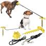 Dog Tie Out Cable and Stake, 10.19'' Sturdy Stake for Dog Tie Out with Dog Chew Toy and Elasticity Dog Chain for Camping Backyard, Great for Small Medium Large Dogs Up to 120 lbs