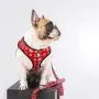 Fresh Pawz - Adjustable Mesh Harness Fresh Pawz - Adjustable Mesh Harness