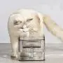 Dog Cat Water Fountain, 3 Outlet Mode Automatic Pet Water Fountain Transparent Design Automatic Pet Waterer with Six-Fold Filter (3L) Dog Cat Water Fountain, 3 Outlet Mode Automatic Pet Water Fountain Transparent Design Automatic Pet Waterer with Six-Fold Filter (3L)
