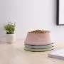 CWWAN Pet Bowl Stainless Steel Dog Bowl cat Bowl Personality Creative Single Bowl pet Bowl (Pink) CWWAN Pet Bowl Stainless Steel Dog Bowl cat Bowl Personality Creative Single Bowl pet Bowl (Pink)
