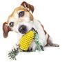 Wollet Dog Toothbrush Chewing Toy Corn Molar Stick Resistant TPR for Dog Grind Teeth Cleaning Dental Oral Care