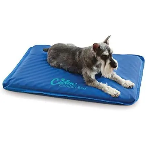 K&H PET PRODUCTS Coolin Comfort Bed - Ultra Thick Cooling Orthopedic Pet Bed K&H PET PRODUCTS Coolin Comfort Bed - Ultra Thick Cooling Orthopedic Pet Bed