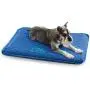 K&H PET PRODUCTS Coolin Comfort Bed - Ultra Thick Cooling Orthopedic Pet Bed K&H PET PRODUCTS Coolin Comfort Bed - Ultra Thick Cooling Orthopedic Pet Bed