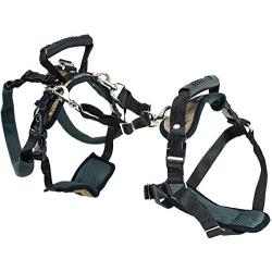 PetSafe CareLift Lifting Harness - Full Body Lifting Aid with Handle - Ideal for Mobilising Sick or Older Pets - Comfortable Breathable Material - Easy to Adjust