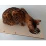 A Cats Domain Wall Mounted Cat Feeding Shelf (Elevated Diner) Physical Size: Depth- 12.75 Inches Width- 24 Inches Height- 2.5 Inches (24 Width, Unfinished)